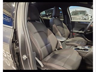 FORD Focus 1.5 ecoblue st-line 115cv auto