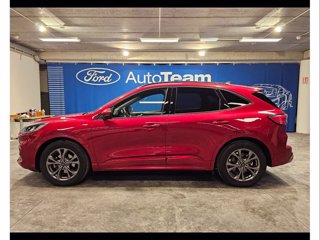 FORD Kuga 1.5 ecoblue st-line 2wd 120cv auto