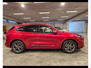 FORD Kuga 1.5 ecoblue st-line 2wd 120cv auto