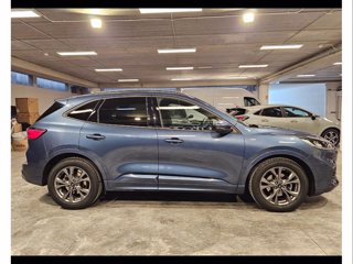 FORD Kuga 1.5 ecoblue st-line 2wd 120cv