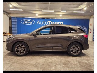 FORD Kuga 1.5 ecoblue st-line x 2wd 120cv auto