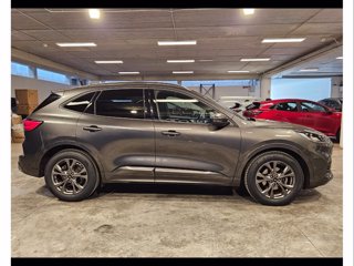 FORD Kuga 1.5 ecoblue st-line x 2wd 120cv auto