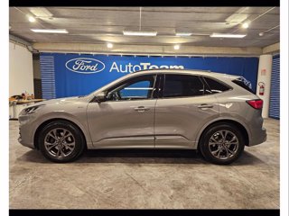 FORD Kuga 1.5 ecoblue st-line 2wd 120cv auto