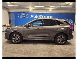 FORD Kuga 1.5 ecoblue st-line 2wd 120cv auto