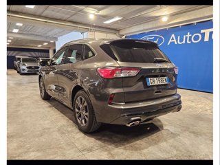 FORD Kuga 1.5 ecoblue st-line x 2wd 120cv auto