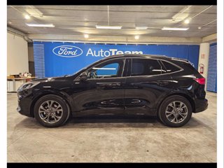 FORD Kuga 2.0 ecoblue st-line 2wd 120cv auto