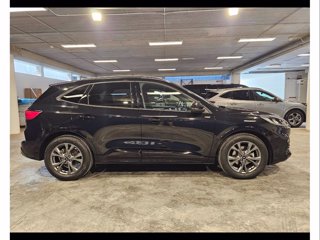 FORD Kuga 2.0 ecoblue st-line 2wd 120cv auto